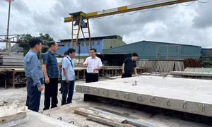 Khảo sát các đề tài tham gia Hội thi Sáng tạo kỹ thuật tỉnh Quảng Ninh lần thứ X