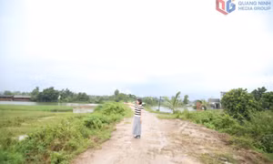 Cần sớm đầu tư nâng cấp hệ thống đê ở phường Đông Triều