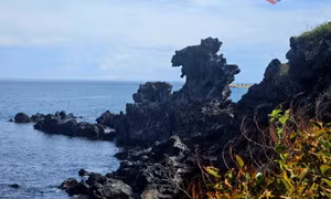 Ngắm… đá đen ở đảo Jeju