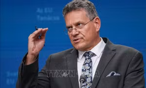 EU và Trung Quốc nhất trí họp khẩn về vấn đề đất hiếm