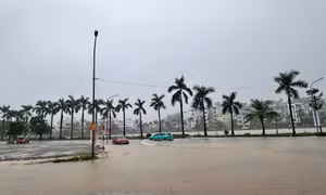 Cảnh báo triều cường vùng biển Quảng Ninh