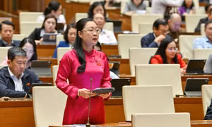 Tăng cường giám sát, công khai kết quả giải ngân vốn đầu tư công