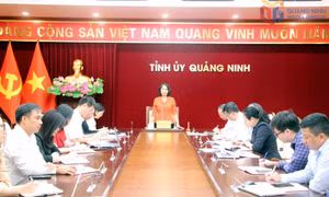 Đồng chí Trịnh Thị Minh Thanh, Phó Bí thư Thường trực Tỉnh ủy làm việc với Văn phòng Tỉnh ủy