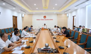 Đẩy nhanh triển khai Nghị quyết 66.4 để sớm tháo gỡ điểm nghẽn Luật Địa chất và Khoáng sản 2024