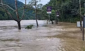 Lở đất do mưa lớn khiến ít nhất 20 người thiệt mạng tại Ấn Độ