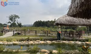 Phát triển nông nghiệp xanh, tuần hoàn 
