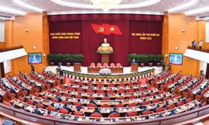 Kết luận của Bộ Chính trị, Ban Bí thư về thực hiện một số nội dung, nhiệm vụ trọng tâm trong hoạt động của tổ chức cơ sở đảng thời gian tới