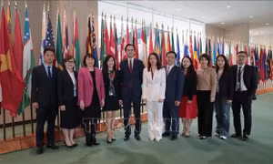 Việt Nam tái đắc cử vào Hội đồng Nhân quyền LHQ nhiệm kỳ 2026–2028