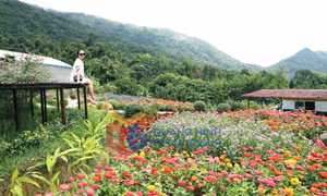 Du lịch xã Hoành Mô