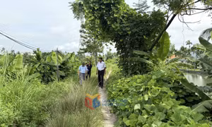 Nhiều tuyến đê cần được đầu tư kiên cố hóa