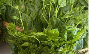 Món canh tốt cho mắt