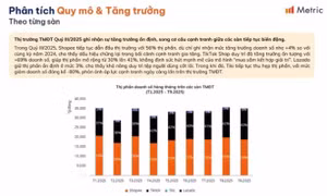 Thương mại điện tử Việt Nam 9 tháng đầu năm tăng trưởng ấn tượng