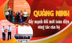 Quảng Ninh đẩy mạnh đổi mới toàn diện công tác cán bộ