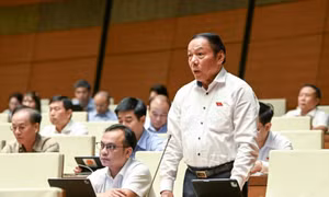 Khơi dậy sức mạnh nội sinh của văn hóa trong phát triển bền vững