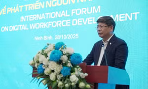 Nhân lực số là trụ cột phát triển đất nước nhanh, bền vững