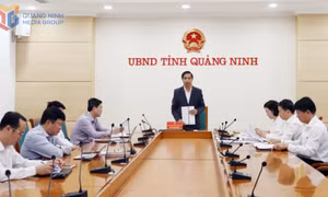 UBND tỉnh quán triệt, triển khai kế hoạch nâng cao chất lượng đô thị, khu dân cư 