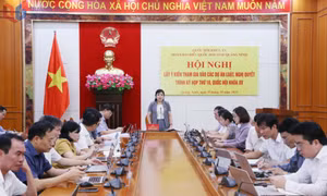 Đoàn ĐBQH tỉnh lấy ý kiến góp ý vào các dự án luật trình Kỳ họp thứ 10, Quốc hội khóa XV