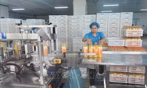 Trung Quốc xử lý nghiêm các hành vi vi phạm an toàn thực phẩm