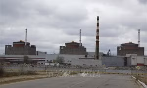 Nga: Ukraine nhất trí bảo đảm an ninh để khôi phục nguồn điện cho nhà máy điện hạt nhân Zaporizhzhia 