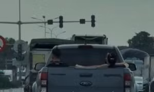 Tài xế ở Hải Phòng bị phạt 5 triệu đồng vì chở người trên thùng xe
