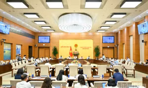 Thúc đẩy luật quản lý thuế hiện đại, minh bạch, chống thất thu
