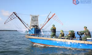 Khu vực ven biển phường Móng Cái 1 triển khai đồng bộ các biện pháp ứng phó với bão số 11 