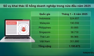 Doanh nghiệp Việt Nam với nguy cơ bị tấn công mạng vì chưa cập nhật bản vá bảo mật