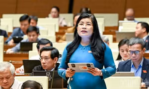 Bảo đảm hiệu quả vận hành mô hình chính quyền địa phương 2 cấp