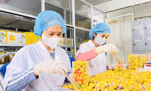 Đảm bảo chương trình xây dựng NTM được triển khai liên tục, hiệu quả, đồng bộ