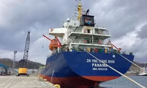 Bắt giữ tàu biển quốc tịch Panama tại cảng Quy Nhơn