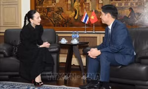 Chủ tịch Liên đoàn bóng đá Thái Lan xin lỗi về sự cố hiển thị sai Quốc kỳ Việt Nam