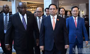 Việt Nam và Nam Phi cùng tăng cường hợp tác, củng cố chuỗi cung ứng toàn cầu bền vững