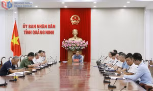 UBND tỉnh nghe báo cáo triển khai các dự án nhà ở xã hội 