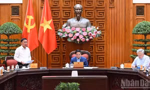 Khẩn trương khắc phục hậu quả, ổn định tình hình nhân dân, khôi phục sản xuất, kinh doanh sau bão số 11
