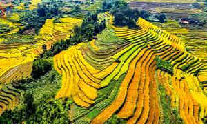 Điểm đến không thể bỏ qua