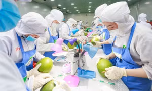Giải pháp trọng tâm mở cửa thị trường nông sản