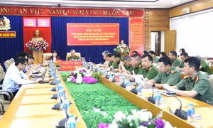 Trao đổi, lấy ý kiến tham gia các dự án luật do Bộ Công an chủ trì soạn thảo 