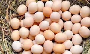 Loại thực phẩm tốt cho mắt ít ai ngờ