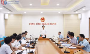 UBND tỉnh: Cho ý kiến về dự thảo đề án nâng cao an toàn hệ thống đê điều