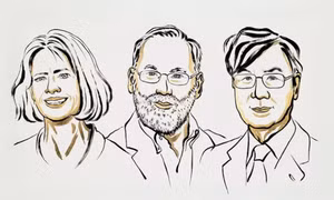 Mở màn Nobel 2025: Lĩnh vực y sinh vinh danh 3 nhà khoa học Mỹ và Nhật Bản