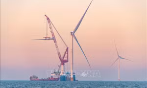 IEA: Chính sách năng lượng của Mỹ ảnh hưởng triển vọng điện gió toàn cầu