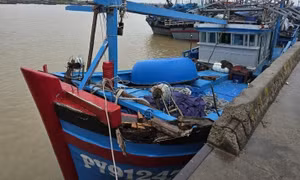 Xác minh tàu cá Đắk Lắk tố bị 3 tàu cá khác tấn công, lấy tài sản
