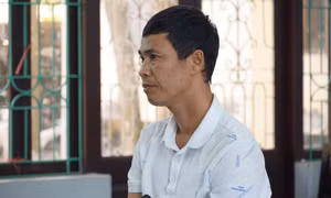 Người bán gà lôi trắng được tuyên miễn trách nhiệm hình sự, thả tự do tại tòa
