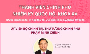 Thành viên Chính phủ nhiệm kỳ Quốc hội khóa XV