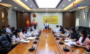 Ban Pháp chế HĐND tỉnh thẩm tra các dự thảo nghị quyết