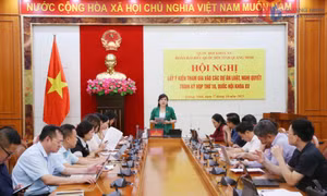 Đoàn ĐBQH tỉnh lấy ý kiến tham gia vào dự án Luật Báo chí (sửa đổi) và Luật Viên chức (sửa đổi)