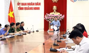 Tăng cường đấu tranh chống buôn lậu, gian lận thương mại và hàng giả những tháng cuối năm