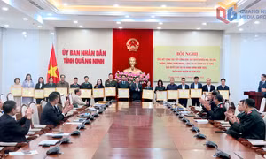 Tổng kết công tác tiếp công dân, giải quyết khiếu nại, tố cáo, phòng, chống tham nhũng và tham gia tố tụng giải quyết các vụ án hành chính