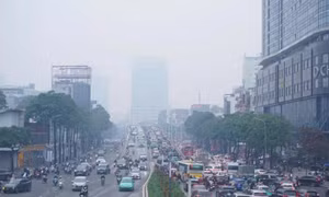 Thực phẩm và lối sống lành mạnh giúp phổi chống chịu ô nhiễm không khí