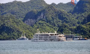 Sôi động du lịch mùa xuân